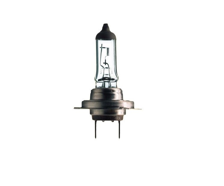 Ampoules 12V